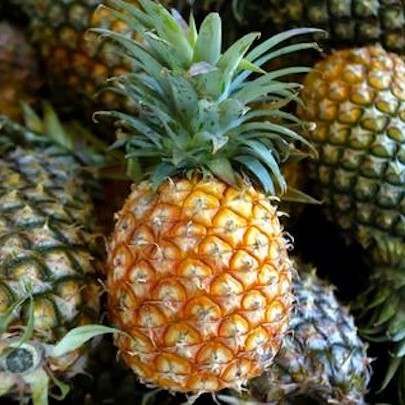 FSS Pineapple Enzyme OS